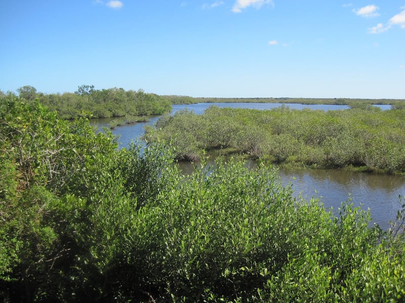 Wetlands and waterway at Merritt Island National Wildlife Refuge